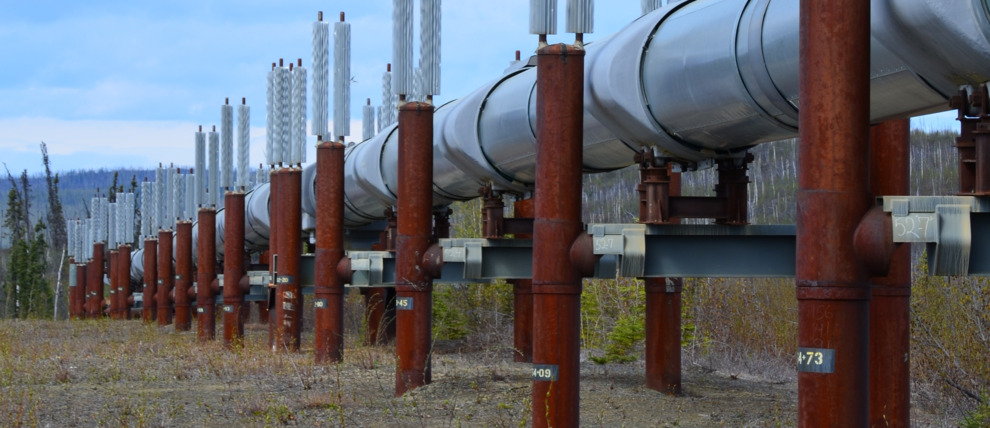 The Alaska Pipeline travels for more than 800 miles. The Alaska Pipeline travels for more than 800 miles.